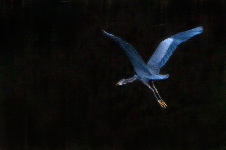 Flight