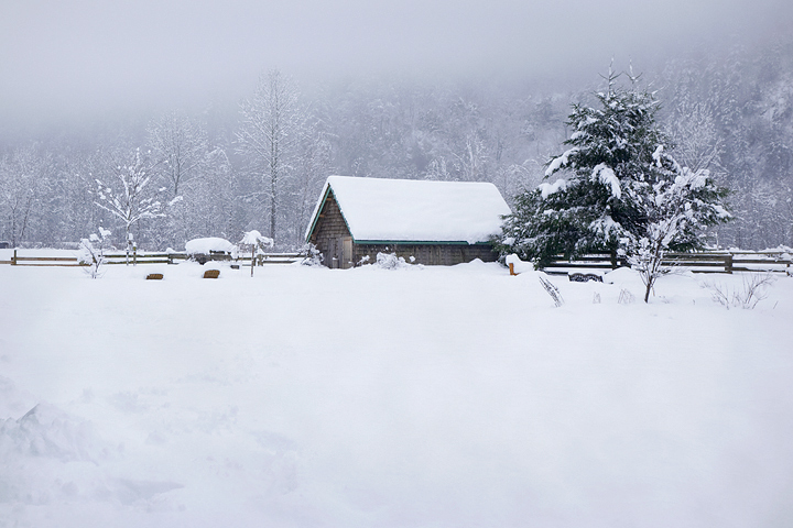 A Winter Landscape