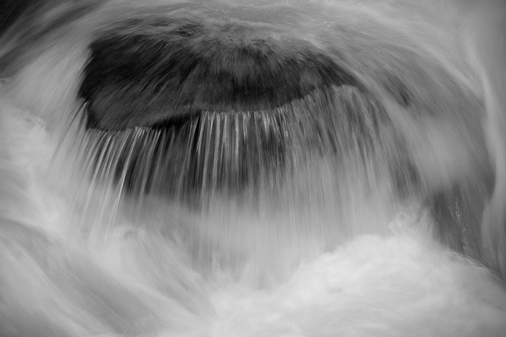 Rapid
