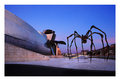 Guggenheim´s Spider