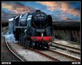 watercress line