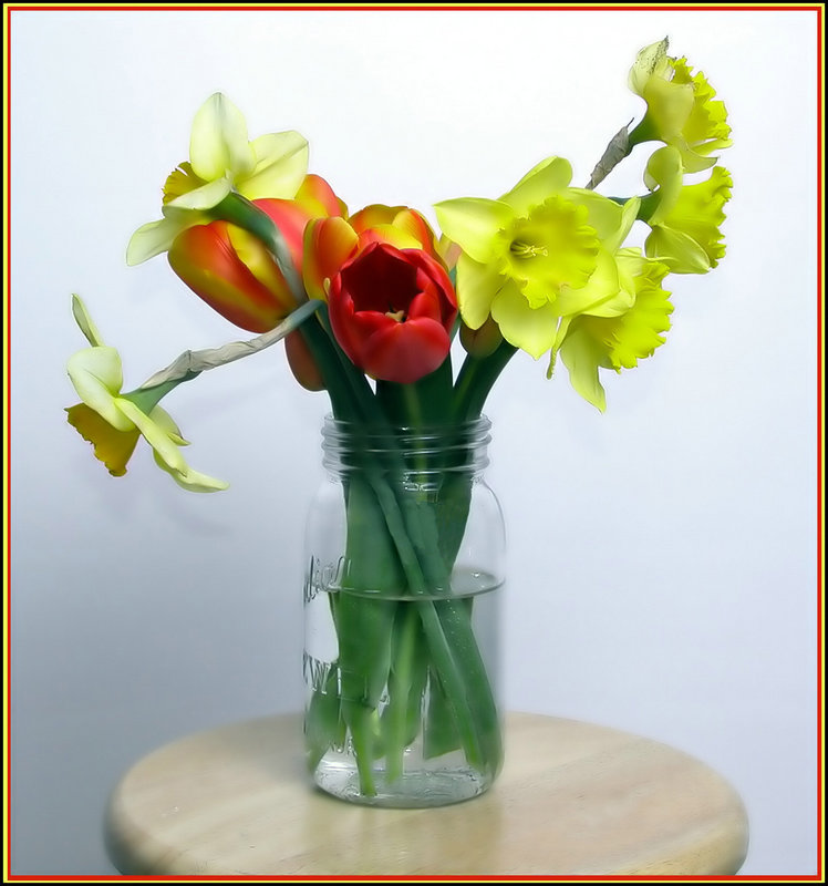 Cutflowers.jpg