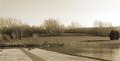 Stone Faul