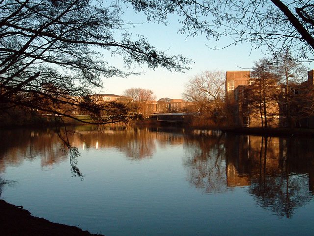 York Campus 01
