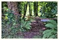 DSCF5072 -1