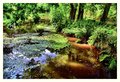 DSCF5081_Localtone