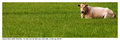 CRW_8174 copy.jpg