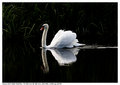 CRW_8183_a.jpg