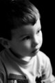 CRW_0800_b.jpg