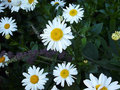 P1020437_a.jpg