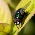 IMG_0002_edited-1.jpg
