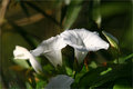 IMG_0367_edited-1.jpg
