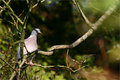 IMG_0387_edited-1.jpg