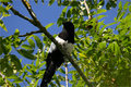 IMG_0389_edited-1.jpg