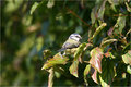 IMG_0390_edited-1.jpg