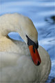 IMG_0464_edited-1.jpg