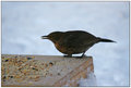IMG_1054_edited-1.jpg