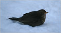 IMG_1085_edited-1.jpg