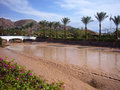 P1030209_edited-1.jpg