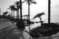 IMG_1456_edited-1.jpg