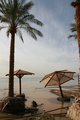 IMG_1464_edited-1.jpg