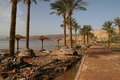 IMG_1469_edited-1.jpg