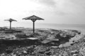 IMG_1473_edited-1.jpg