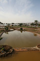 IMG_1490_edited-1.jpg
