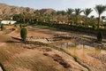 IMG_1525_edited-1.jpg