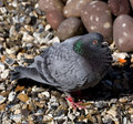 IMG_4411_edited-1