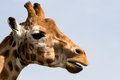 IMG_3852_edited-1