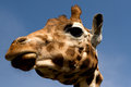 IMG_3871_edited-1