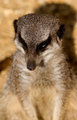 IMG_4013_edited-1