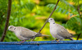 IMG_5506_edited-1