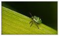 IMG_5846_w_edited-1