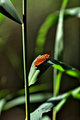 IMG_1806_edited-1