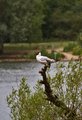 IMG_1852_edited-1