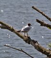 IMG_1827_edited-1