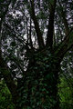IMG_7527_edited-1