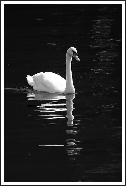 182_8273a.jpg