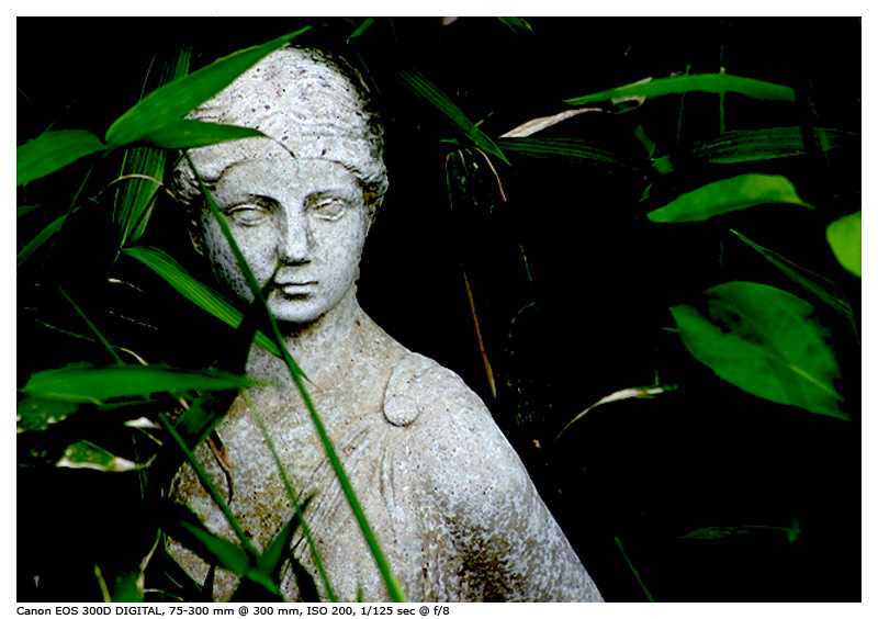 CRW_7744_dpc.jpg