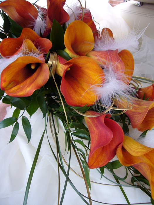 P1010068_a.jpg