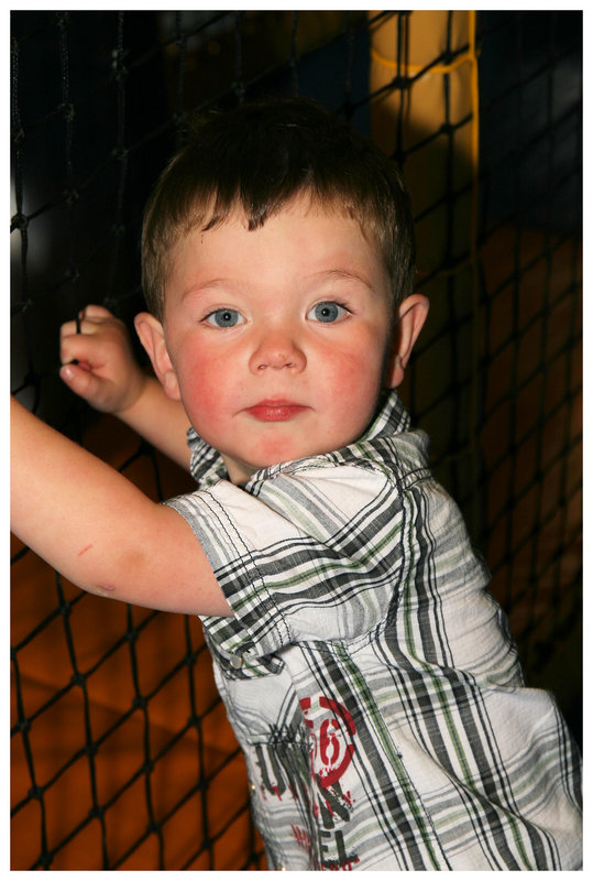 IMG_6866_dpc.jpg