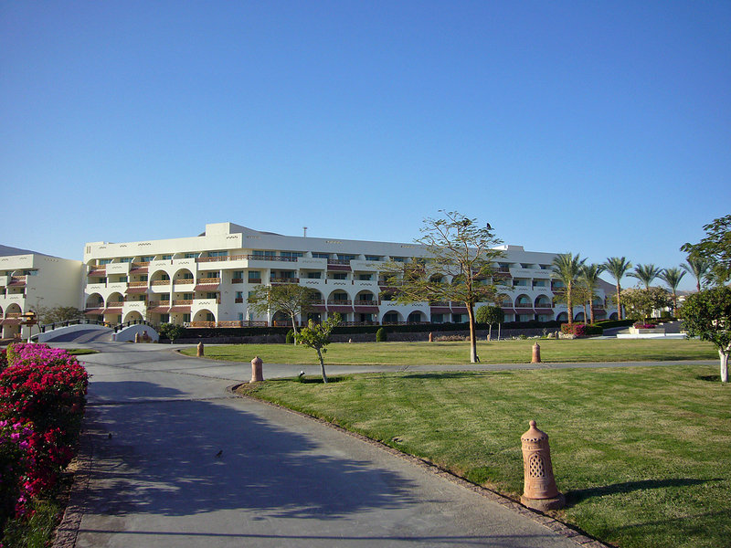 P1030127_edited-1.jpg