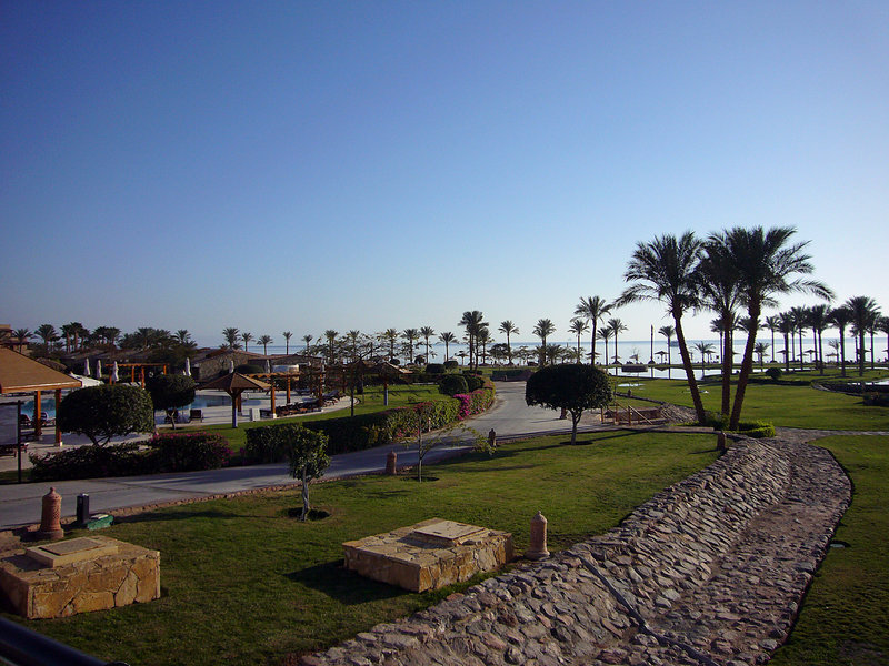 P1030129_edited-1.jpg