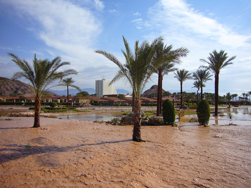 P1030208_edited-1.jpg
