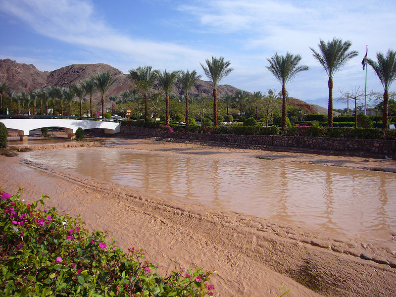 P1030209_edited-1.jpg