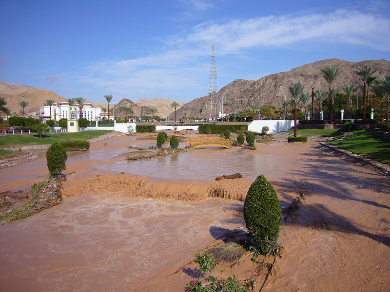 P1030214_edited-1.jpg