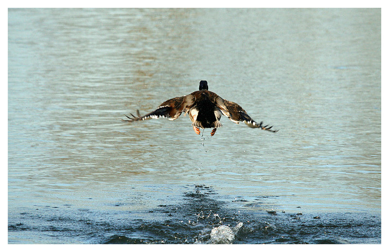 Take off