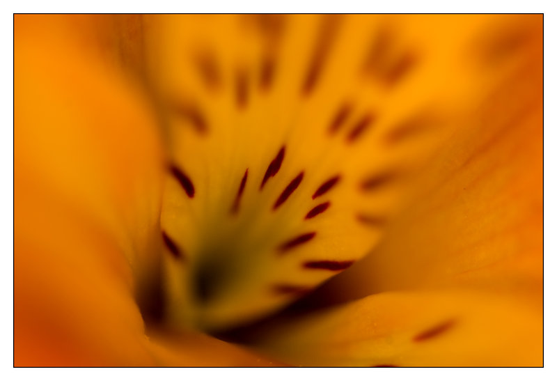 IMG_5841_w